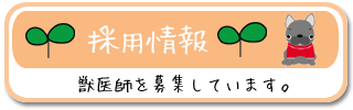 採用情報