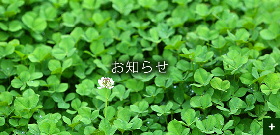 お知らせ