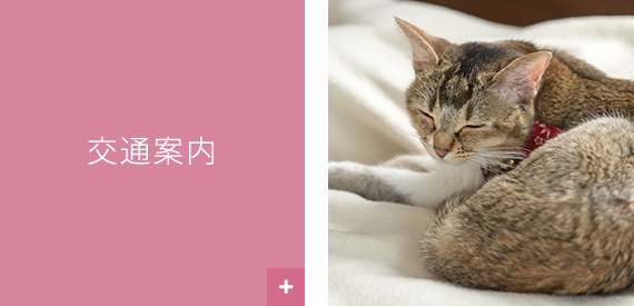 交通案内