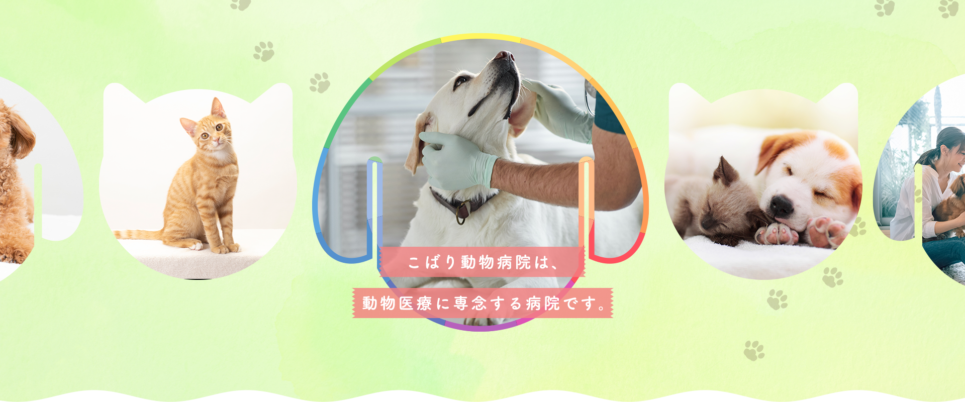 こばり動物病院は、 動物医療に専念する病院です。