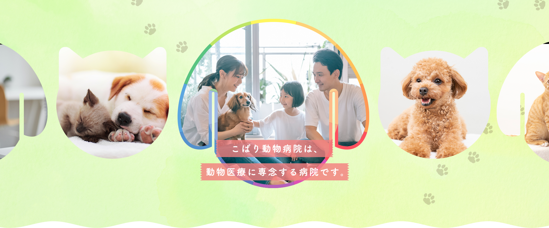 こばり動物病院は、 動物医療に専念する病院です。