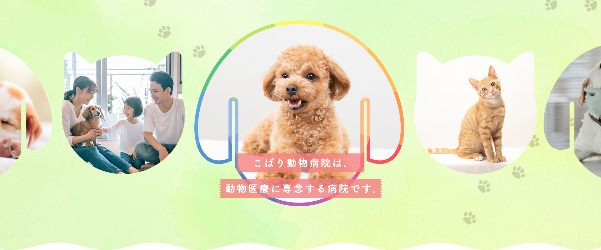こばり動物病院は、 動物医療に専念する病院です。
