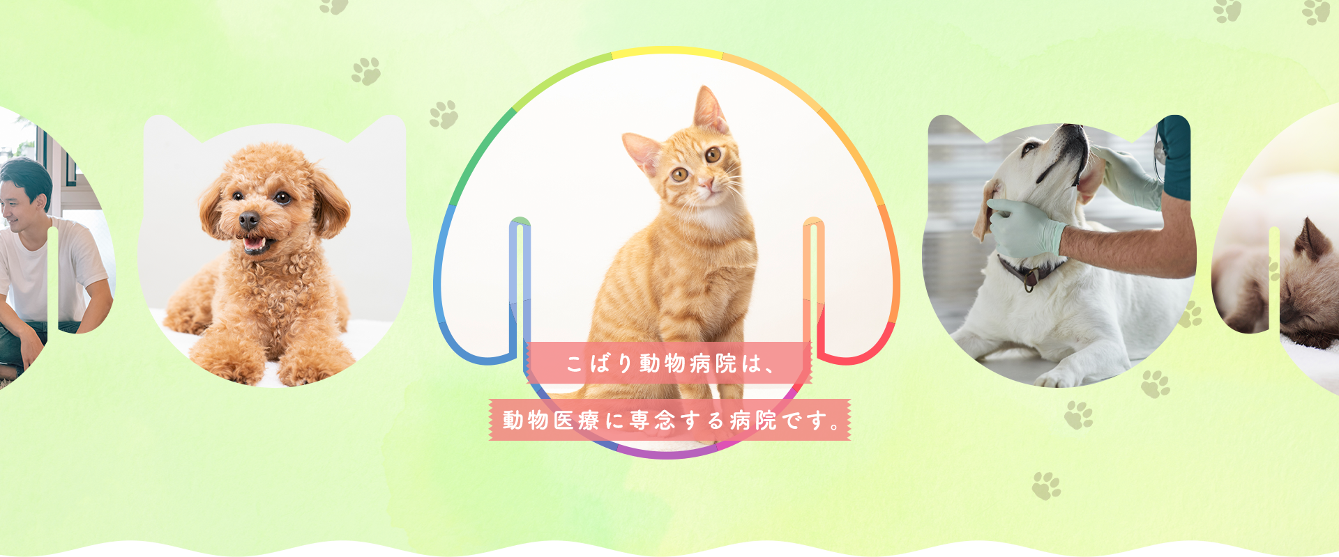 こばり動物病院は、 動物医療に専念する病院です。